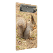 De eekhoorn eet een moerfoto mini klembord (Schuin)