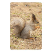 De eekhoorn eet een moerfoto mini klembord (Achterkant)