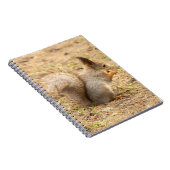 De eekhoorn eet een moerfoto notitieboek (Rechterzijde)