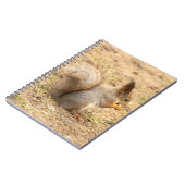 De eekhoorn eet een moerfoto notitieboek (Linkerzijde)
