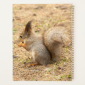 De eekhoorn eet een moerfoto planner (Achterkant)