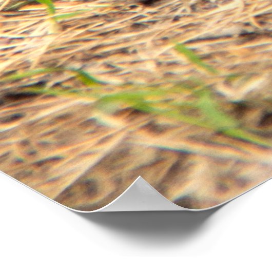 De eekhoorn eet een moerfoto poster (Hoek)