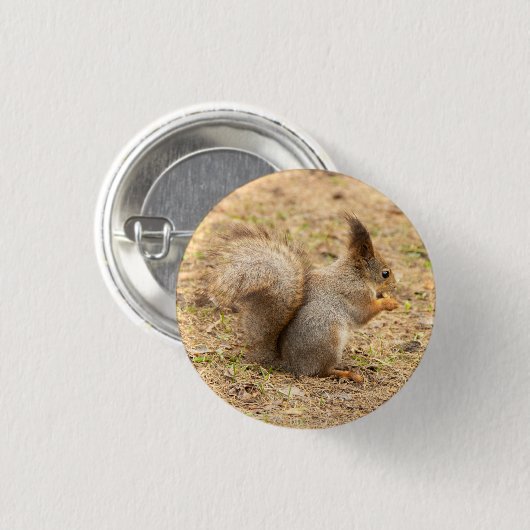 De eekhoorn eet een moerfoto ronde button 3,2 cm (Voorkant /achterkant)