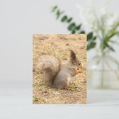 De eekhoorn eet een moerfoto RSVP kaartje (Staand voorkant)
