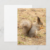 De eekhoorn eet een moerfoto RSVP kaartje (Voorkant / Achterkant)