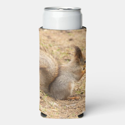 De eekhoorn eet een moerfoto seltzer blikjeskoeler