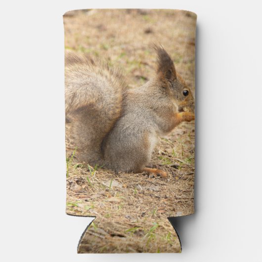 De eekhoorn eet een moerfoto seltzer blikjeskoeler (Achterkant)