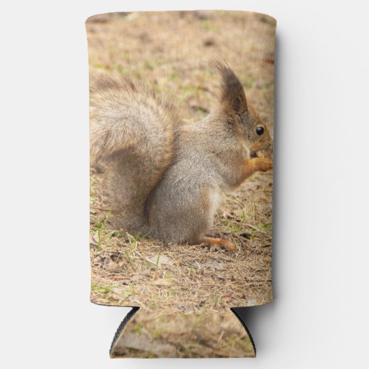 De eekhoorn eet een moerfoto seltzer blikjeskoeler (Voorkant)