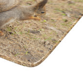 De eekhoorn eet een moerfoto snijplank (Hoek)