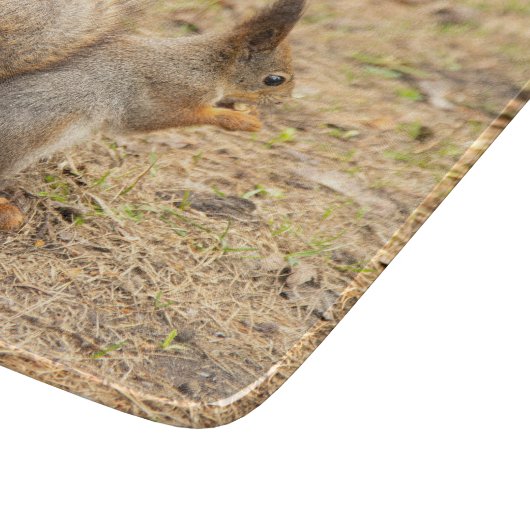 De eekhoorn eet een moerfoto snijplank (Hoek)