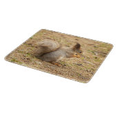 De eekhoorn eet een moerfoto snijplank (Hoek)