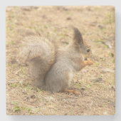 De eekhoorn eet een moerfoto stenen onderzetter (Voorkant)