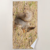 De eekhoorn eet een moerfoto strandlaken (Voorkant)