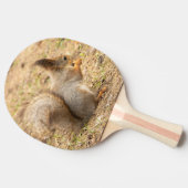 De eekhoorn eet een moerfoto tafeltennisbatje (Zijkant)