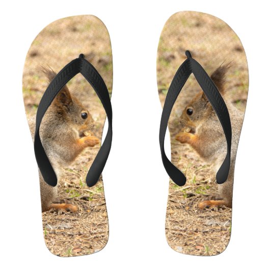 De eekhoorn eet een moerfoto teenslippers (Voetbed)