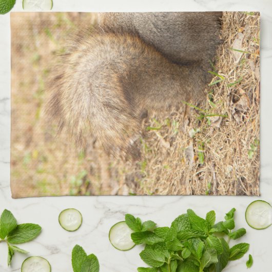 De eekhoorn eet een moerfoto theedoek (Gevouwen)
