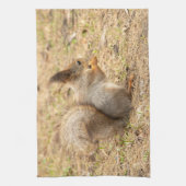 De eekhoorn eet een moerfoto theedoek (Verticaal)