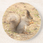 De eekhoorn eet een moerfoto zandsteen onderzetter (Voorkant)
