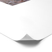 De eekhoorn Hunt Poster (Hoek)