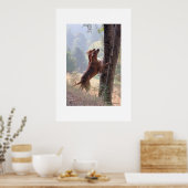 De eekhoorn Hunt Poster (Keuken)