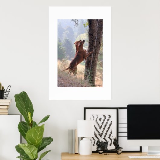 De eekhoorn Hunt Poster (Thuiskantoor)