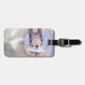 De eekhoorn kijkt naar je vanaf de bodem bagagelabel (Voorkant horizontaal)