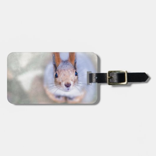 De eekhoorn kijkt naar je vanaf de bodem bagagelabel (Voorkant horizontaal)