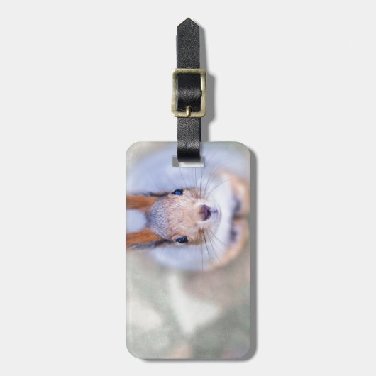 De eekhoorn kijkt naar je vanaf de bodem bagagelabel (Voorkant verticaal)