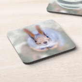 De eekhoorn kijkt naar je vanaf de bodem bier onderzetter (Linkerzijde)