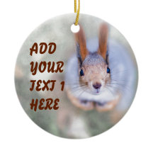 De eekhoorn kijkt naar je vanaf de bodem