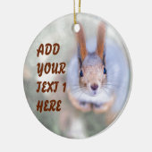 De eekhoorn kijkt naar je vanaf de bodem keramisch ornament (Links)