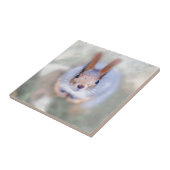 De eekhoorn kijkt naar je vanaf de bodem tegeltje (Zijkant)