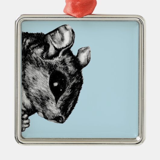 De eekhoorn metalen ornament (Voorkant)
