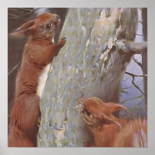 DE EEKHOORN (Sciurus vulgaris) Poster (Voorkant)
