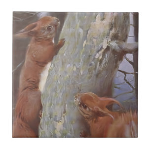 DE EEKHOORN (Sciurus vulgaris) Tegeltje