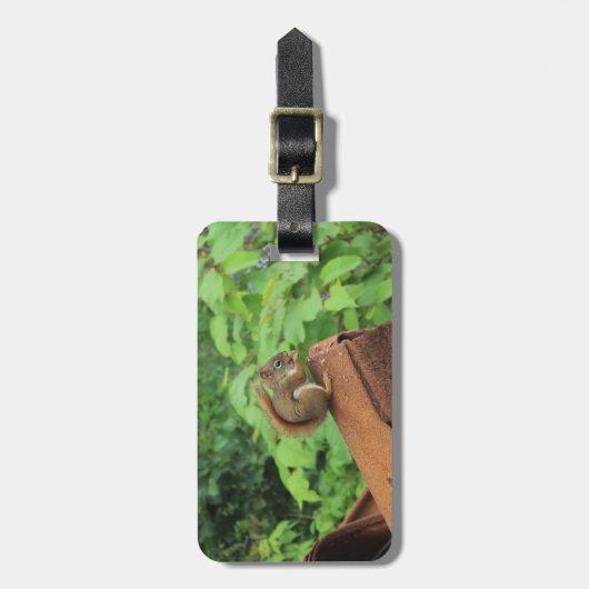 De Eekhoorn van Camo Bagagelabel (Voorkant verticaal)