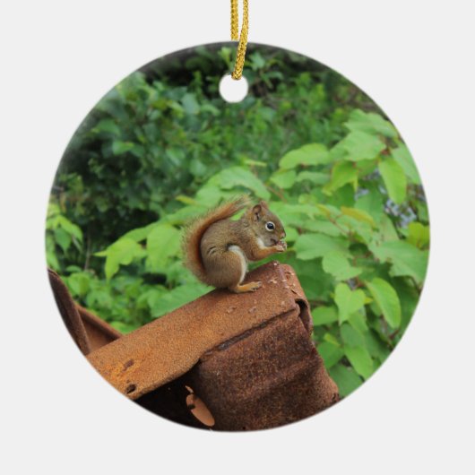De Eekhoorn van Camo Keramisch Ornament (Voorkant)