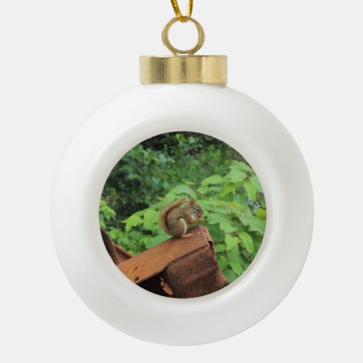 De Eekhoorn van Camo Keramische Bal Ornament (Voorkant)