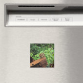 De Eekhoorn van Camo Magneet (Insitu (Vaatwasser))