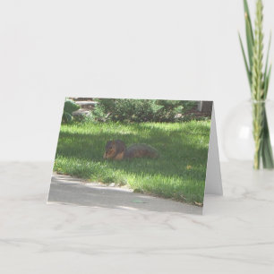 De Eekhoorn van de Jazz van de verjaardag Kaart