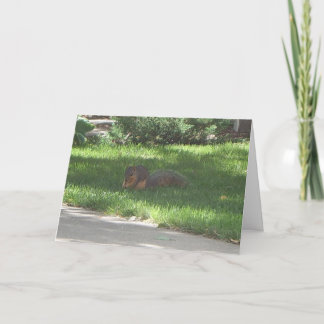 De Eekhoorn van de Jazz van de verjaardag Kaart