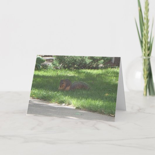 De Eekhoorn van de Jazz van de verjaardag Kaart (Voorkant)