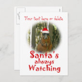 De Eekhoorn van de kerstman let altijd op Feestdagenkaart (Voorkant / Achterkant)