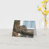 De Eekhoorn van de slaap Kaart (Gele Bloem)