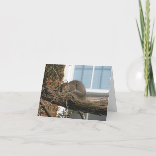 De Eekhoorn van de slaap Kaart (Voorkant)