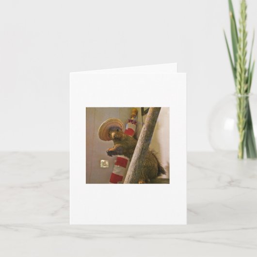 De Eekhoorn van de taxidermie in een Kaart van de (Voorkant)