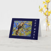 De eekhoorn wordt goed Kaart (Gele Bloem)