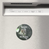 De eekhoorns maken me Glimlach Dierlijke Magneet (Insitu (Vaatwasser))