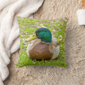 De eend meneer Mallard Kussen (Deken)