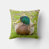 De eend meneer Mallard Kussen (Achterkant)